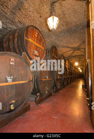 Big oak wine barrel in Bodega La Rural, Mendoza, Argentina. Wine museum Stock Photo