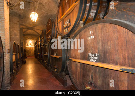 Big oak wine barrel in Bodega La Rural, Mendoza, Argentina. Wine museum Stock Photo