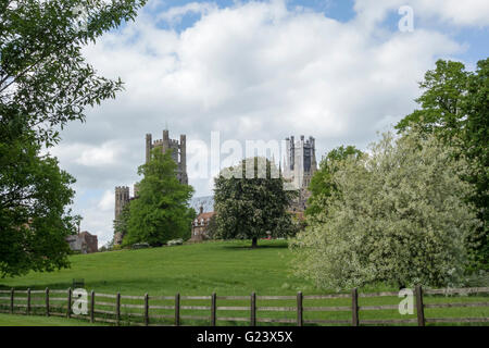 Ely cathedral from Cherry Hill park Ely Cambridgeshire England UK Stock Photo