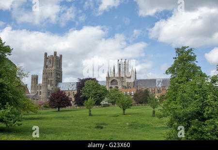 Ely cathedral from Cherry Hill park Ely Cambridgeshire England UK Stock Photo