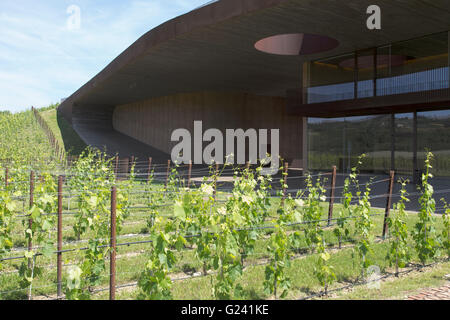 Antinori new wine cellar built in the Chianti area in Bargino, Florece, Italy. The architectural project was made by Studio Archea. Stock Photo