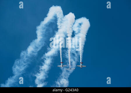 Three Harvards doing a display at the 2016 Lowveld Airshow Stock Photo