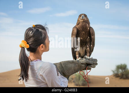 a woman in a desert holding a greater spotted eagle on her arm Stock Photo