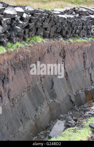 Peat cut from the bogs near to Mid Yell Shetland to provide fuel for open fires. Peat cut from the bogs near to Mid Yell Shetland to provide fuel for open fires.