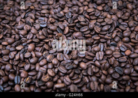 coffee beans in Sri Lanka Stock Photo