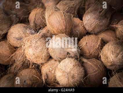 Coconuts for sale in a market in Sri Lanka Stock Photo