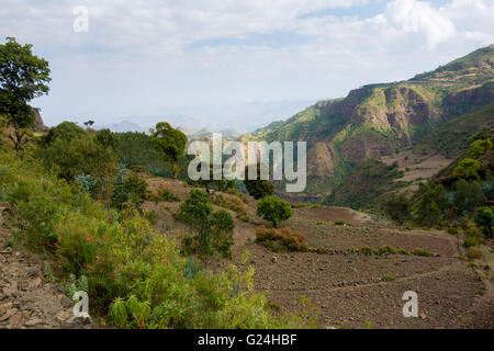 Overlooking a valley in the Simien Mountains National Park, Amhara Region, Ethiopia Stock Photo