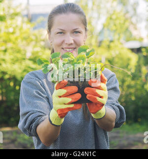 young woman gardener with plants Stock Photo