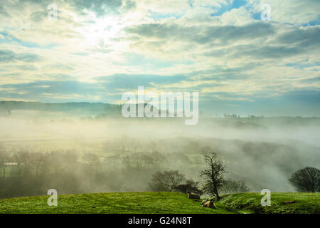 Misty morning near Oakenclough in the Forest of Bowland Lancashire England Stock Photo