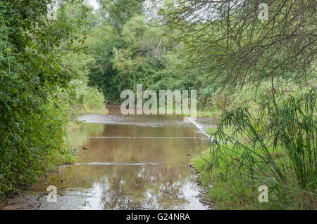 The road through the wilderness area in the Baviaanskloof (baboon valley) crosses the Baviaans River on a concrete causeway Stock Photo