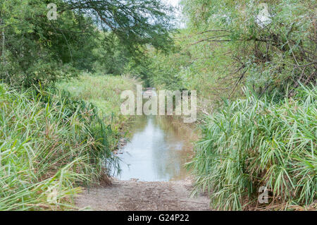 The road through the Wilderness area in the Baviaanskloof (baboon valley) crosses the Baviaans River, one of many such crossings Stock Photo