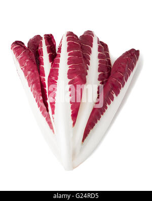 red chicory isolated on white Stock Photo