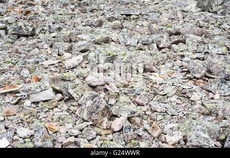 Texture background rubble of jagged rocks covered in gray and green lichens. Stock Photo