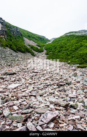 Jagged rubble of rocks in landslide channel descending between bushes from mountain under white sky, at base of Gros Morne. Stock Photo