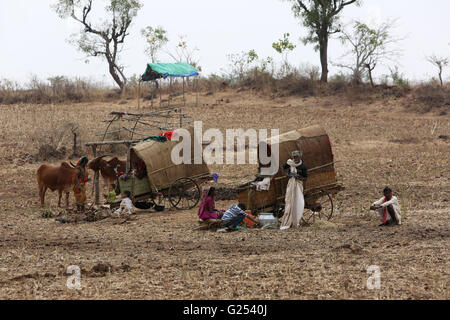 KORKU TRIBE - Bullock cart and house - Way to Lavada - Tah Dharni Stock Photo