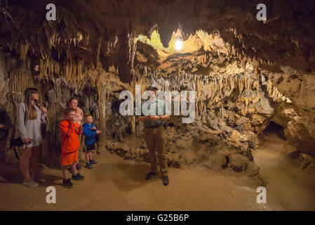 Florida Caverns State Park in Marianna, Florida offers cave tours through fantastic geological formations of limestone. Stock Photo