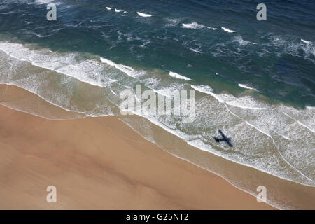 Aerial view, shadow of plane on 75 Mile Beach Road, official Highway, UNESCO World Heritage Site, Fraser Island Stock Photo