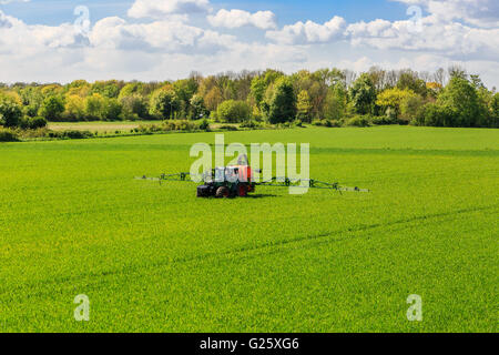 tractor spraying glyphosate pesticides on a corn field Stock Photo