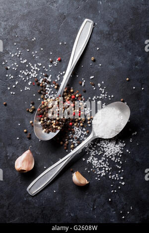 Garlic, black, white and red pepper and salt spices in spoon. Top view Stock Photo