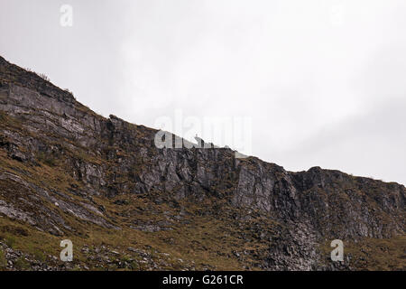 Johan Skytt is a slab of rock protruding from the mountain above Alnes, Godøya, Sunnmøre, Norway Stock Photo