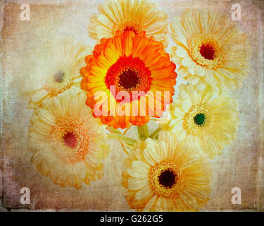 DIGITAL ART: Flora Artistica Stock Photo
