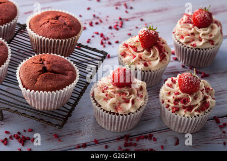 Cupcakes Stock Photo