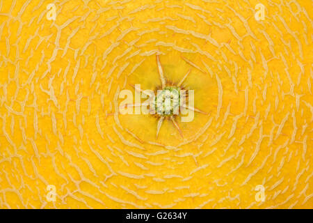 Melon top, Close up Stock Photo