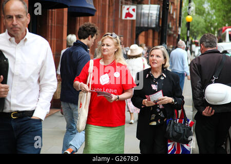 Sloane Square, London, UK 24 May 2016 - Vote Leave campaigners outside RHS Chelsea Flower Show Credit:  Dinendra Haria/Alamy Live News Stock Photo