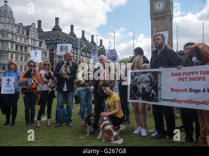 London, UK. 24th May, 2016.   Puppy farming protest outside Parliament Credit:  Ian Davidson/Alamy Live News Stock Photo