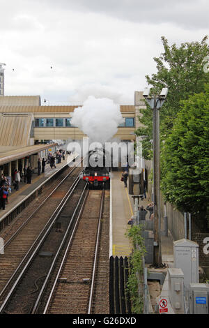 Feltham, Hounslow, London, UK. 25th May 2016. The Flying Scotsman billowing steam passes through Feltham station, London, UK. This was on the outward leg of a journey from London Victoria south to Guildford, across the Surrey Hills and returning to London via Croydon. Credit:  Julia Gavin UK/Alamy Live News Stock Photo