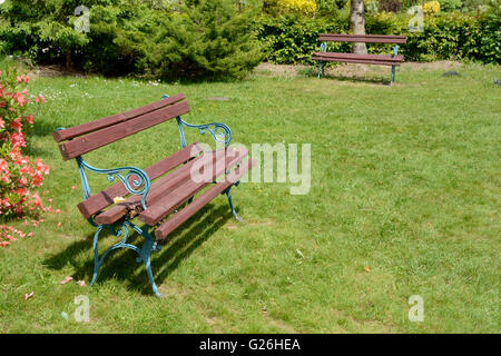 Two brown wooden benches with metal legs on lawn in park. Stock Photo