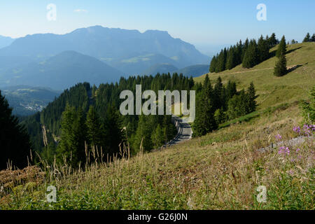 Mountains, meadow, trees and road turn on highest panoramic road in Germany - Rossfeldpanoramastrasse Stock Photo