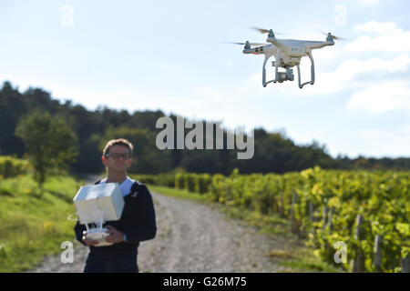 Man flying drone in wineyard, Champagne, France Stock Photo