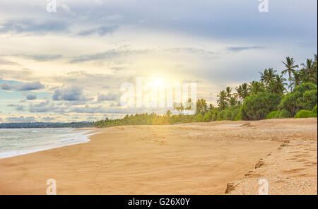 Summer sandy beach with palm trees and partly cloudy sky Stock Photo