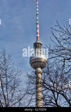 Berlin TV tower in winter, seen through some branches Stock Photo