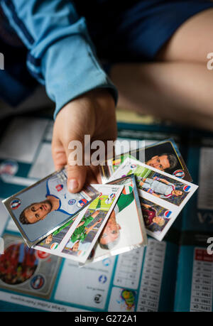 An 8 year old boy is showing his Panini football trading cards before pasting them into his sticker collection scrapbook.
