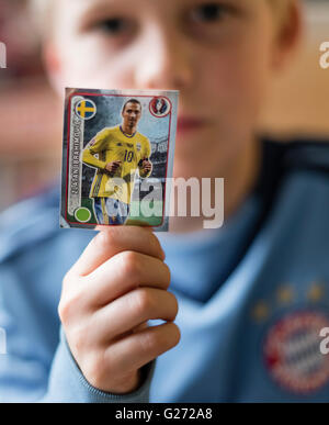 A boy is showing his UEFA Euro 2016 Panini trading card with the picture of Swedish football star Zlatan Ibrahimovic.