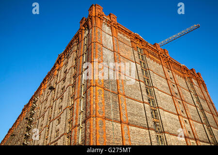 Abandoned 1901 ruins of dockside buildings in the Liverpool Docklands awaiting proposed regeneration. The Stanley Dock Tobacco Warehouse Historical landmark is a grade II listed building and is the world's largest red brick warehouse. The Tobacco Warehouse is scheduled to be the £130m second phase of the Stanley Dock regeneration and feature apartments, a central courtyard and shops. Stock Photo