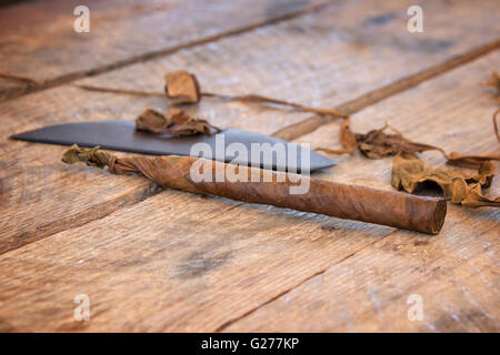 Close up of a cuban handmade cigar, with dried tobacco leaves Stock Photo