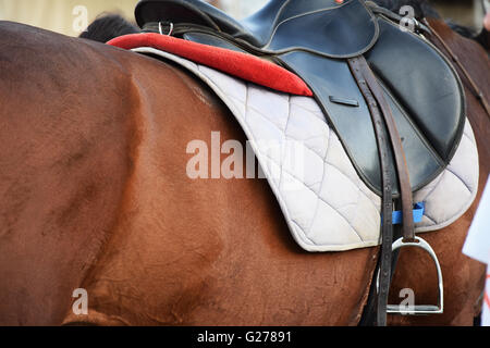 Equestrian saddle on a horse Stock Photo