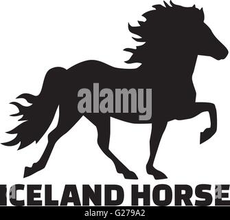 Iceland horse Stock Vector