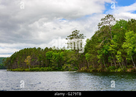 Maine North Woods Stock Photo