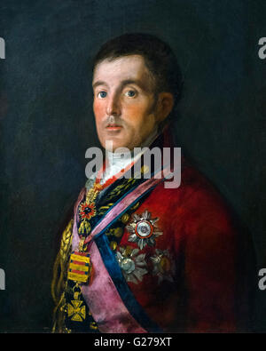 Duke of Wellington (1769-1852), portrait by Francisco de Goya, 1812-14. Stock Photo