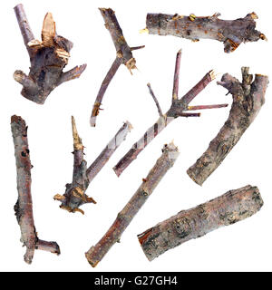 set of dry tree branches isolated on a white background Stock Photo