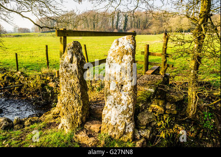 Stiles and footbridge over Leighton Beck in Arnside–Silverdale Area of Outstanding Natural Beauty on Cumbria-Lancashire border Stock Photo