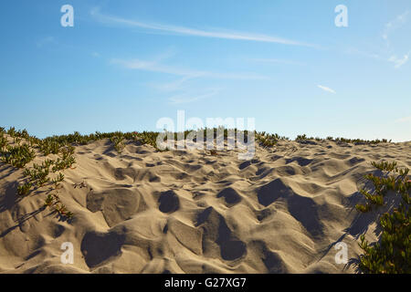Small sand dunes on beach. Stock Photo