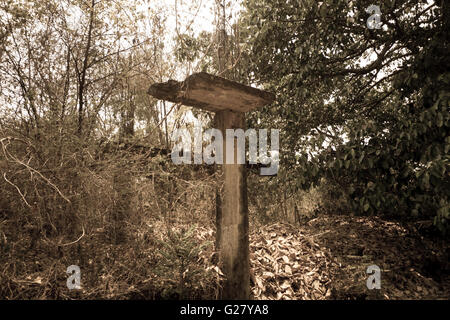abandoned dilapidated construction site ruins reclaimed nature inside forest growth Photo - Alamy