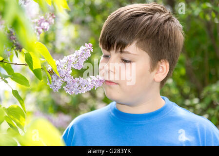 boy smelling a lilac flowers in park Stock Photo