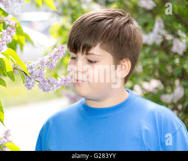 boy smelling a lilac flowers in park Stock Photo