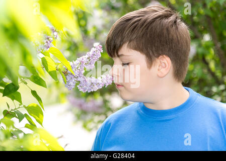 boy smelling a lilac flowers in park Stock Photo